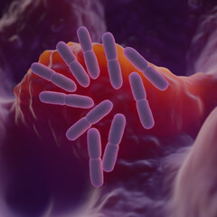 Lactobacillus bacteria are a genus of Gram-positive, rod-shaped, facultative anaerobic bacteria