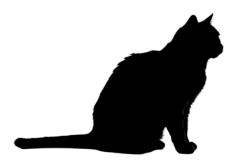 静かに座る黒猫シルエット