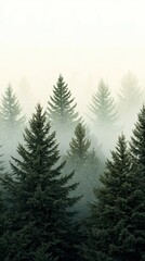 Majestic Evergreen Forest in Enchanting Mist - Serene Nature Landscape with Fog, Layers of Green Trees, Tranquil Atmosphere