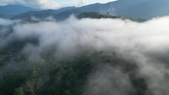 mist in the mountains ,drone view
