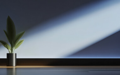 Obraz premium Light and shadow play across a minimalistic interior with a potted plant in focus