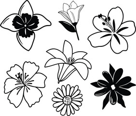 Set of luxury flowers and logo. Trendy botanical elements.