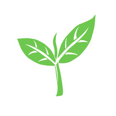Eco icon green leaf vector isolated on white