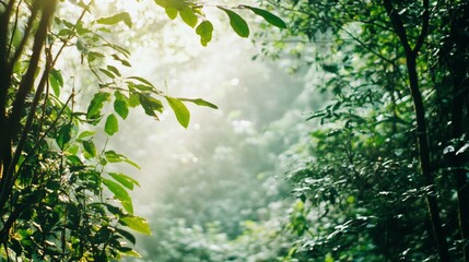 Lush, vibrant jungle foliage. Sunlight filters through leaves
