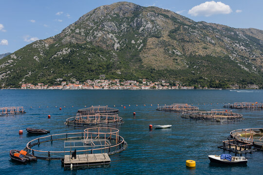 Fish farm in Montenegro