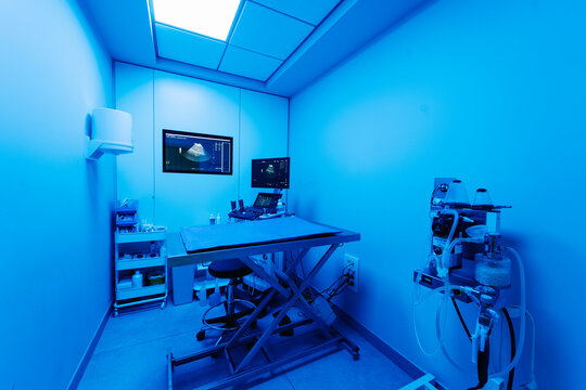 Modern veterinary clinic operating room with ultrasound machine