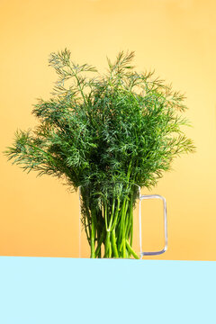 Fresh dill