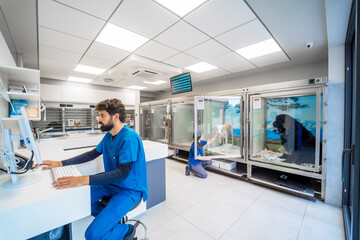 Veterinarians working in modern veterinary clinic with dogs in cages