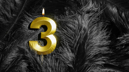 Number 3 golden celebration birthday candle on Black Feathers Background. Third year. concept of...