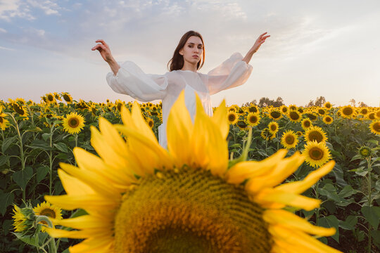 Dancer in a sunflower field