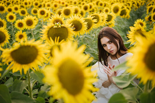 A girl praying in sunflowers.