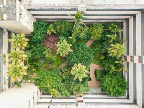 Aerial View of Green Space with Plants and Winding Paths