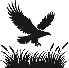 Fototapeta premium Silhouette of a eagle bird animal vector