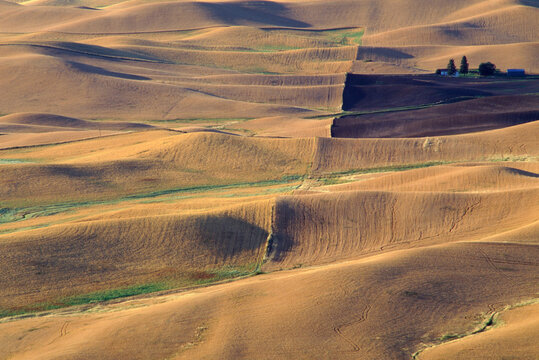 Autumn Palouse Prairie eastern Washington State harvested wheat fields