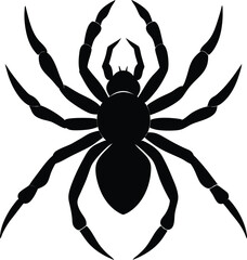 Spider Silhouette Vector Illustration
