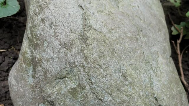 Natural stone lightly covered with moss