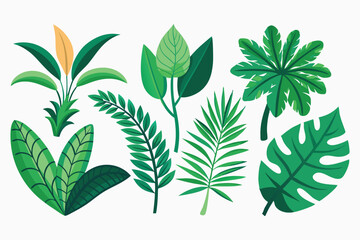 Set of green trees and leaves in a botanical illustration with plants, flowers, and organic foliage