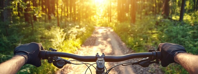 Mountain biking through a sunlit forest trail during golden hour