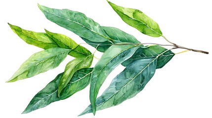Obraz premium Lush Green Watercolor Leaves Branch Botanical Illustration Perfect for Nature Designs