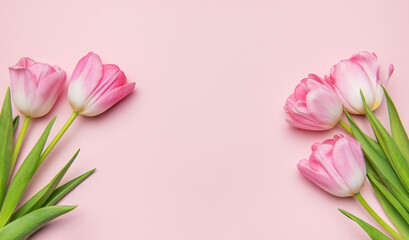 Pink tulips creating a frame on pastel pink background