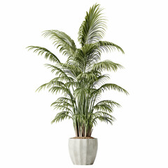 Fototapeta premium plant pot white background