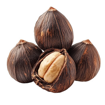 Isolated waternut on a transparent background showcasing its unique shape and texture in a clean setting, Waternut isolated on transparent background