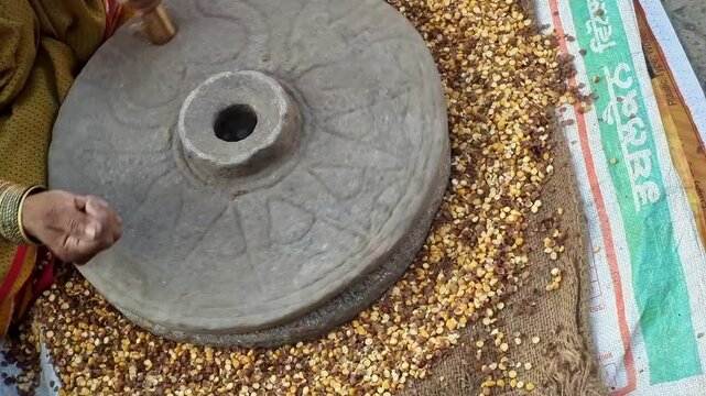Indian housewife woman in traditional clothing grinding grains in stone flour mill. In indian cultural households ancient technology used with manual efforts. grinding grains after drying.