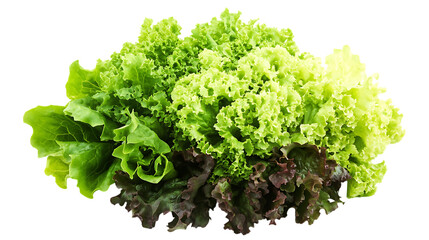 Obraz premium Lettuce pile png