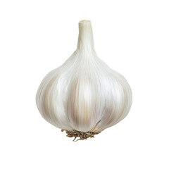 Aromatic garlic bulb with textured skin on white background
