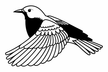 vector illustration of a bird