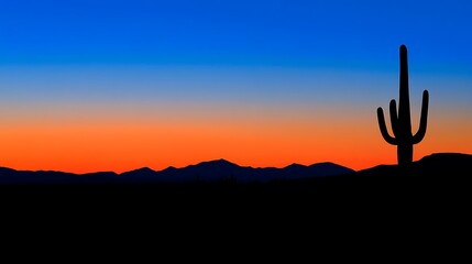 Desert Sunset Silhouette Cactus Arizona.