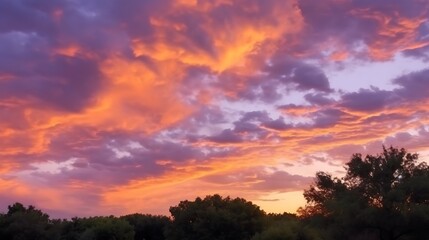 Obraz premium Vibrant Sunset Sky Over Silhouetted Trees