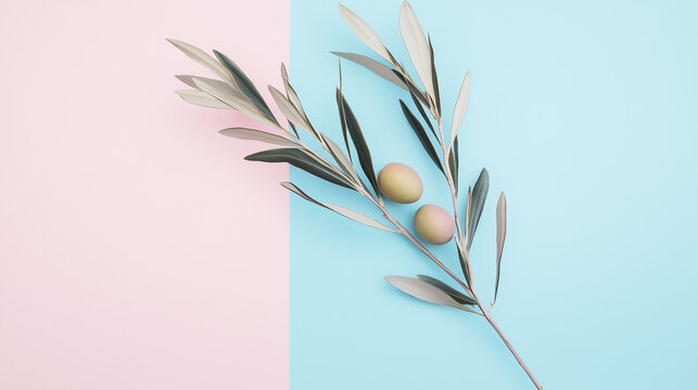 Olive branch with olives against pastel blue and pink backgrounds