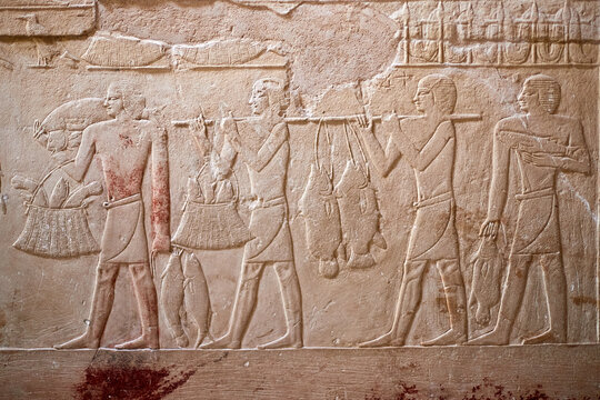 Mural from the tomb of the vizier Kagemni showing four men carying various fish they had caught - Kagemni mastaba, Saqqara