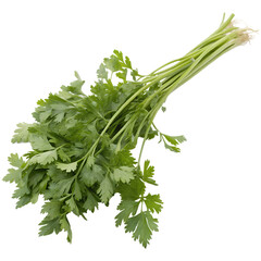 Ishikawa Seri (Ishikawa regional parsley), isolated on a transparent background