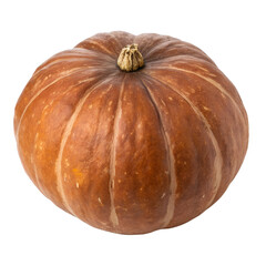 Futsu Kabocha (brown pumpkin), isolated on a transparent background