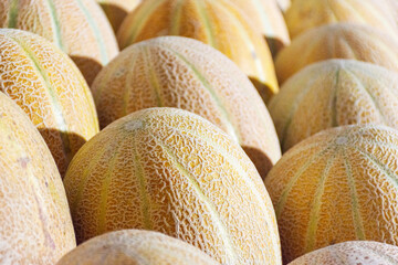 close up of cantaloupe melons.