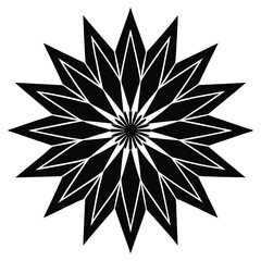 clean radial symmetry vector art design