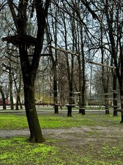 cemetery in the park