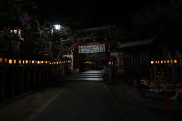 Templo Budista en Japón de Noche