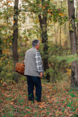 Senior man mushroom hunting in autumn forest with wicker basket