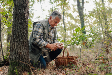 Senior man cleaning wild mushroom in forest with knife and basket
