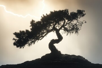 Silhouetted twisted tree on a hill under a stormy sky illuminated by lightning, creating a dramatic, ominous scene.