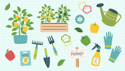 Pepper cliparts isolated on checkered background. Pepper vegetable. Gardening concept. Pepper and equipment for planting vegetables. Vector hand drawn illustration.