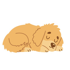 Cute little dog is sleeping in flat style