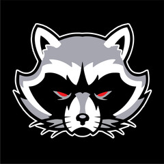 Raccoon Head