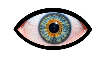 Isolated Human Iris Close-up