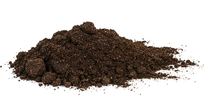 Isolated Pile of Soil