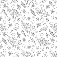 Lemon Blossom Seamless Pattern, botanical line art design