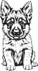 Cute puppy. Hand drawn vector illustration
